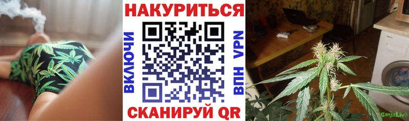 Купить закладки  Амурск  Каннабис конопля 